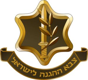 נעליים צבאיות קלות אורטופדיות
