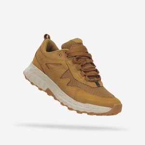 נעלי Lifestyle Terra Free Ride AT185 ATOM לגברים בצבע כאמל